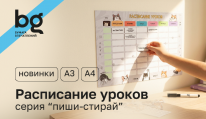 Порядок в голове и школьных буднях с новинками bg